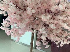 -樱花国际日语(昆山中心)