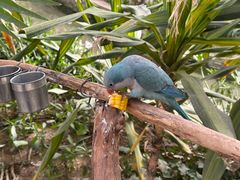 -南宫五洲植物乐园