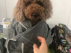 -北京赛佳动物医院