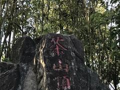 -东莞市大岭山森林公园