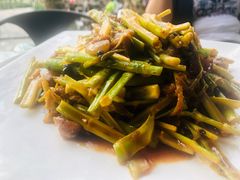 -紫滇源云南生态菜(丹凤街店)