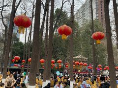 -绵阳人民公园(涪城区)