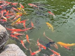 -青岛鑫江温德姆酒店