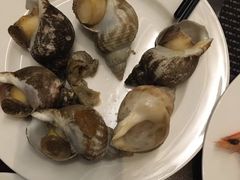 -西安赛瑞喜来登大酒店