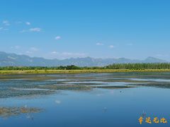 -野鸭湖国家湿地公园