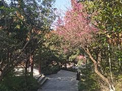 -宝岩生态观光园