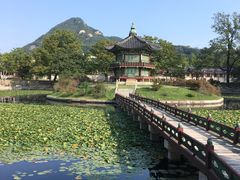 -景福宫