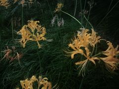 -锦江之星品尚(杭州西湖大道南宋御街店)