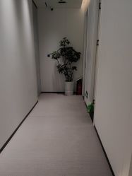 -玛莲朵·海菲秀冰珀科