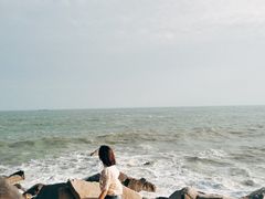 -广东惠东海龟国家级自然保护区