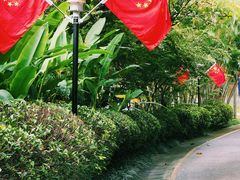 -深圳国际园林花卉博览园