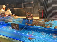 -海底捞火锅(长宁路龙之梦店)