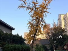 -天鹅湖体育公园