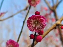 -广富林郊野公园