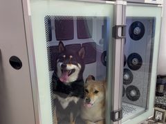 -FAELING PETS美天灵宠物(富力广场店)