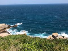 -四川人郑霞海鲜