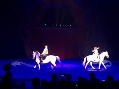 -珠海横琴长隆《卡卡虎奇遇记》