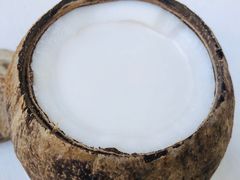 -椰爺爺·椰子冻砵仔糕