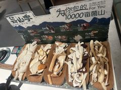 时珍至味山菌汤锅（不含肉）-芸山季·云南山珍菌火锅(南翔印象城MEGA店)