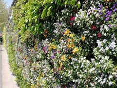 -溧阳路经典老洋房