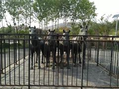 -济南国际园博园