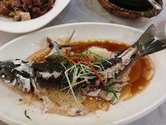 -鹭园酒家·四十年老字号