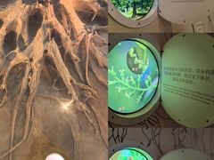 -金沙遗址博物馆