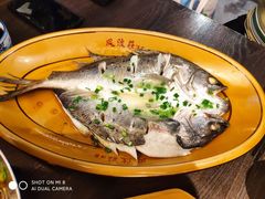 清蒸鲈鱼-风波庄(云蝠大厦店)