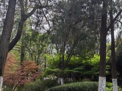 -习家池