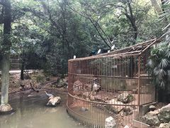 -柳州市动物园