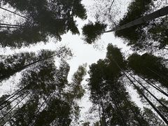 -天目湖御水温泉·度假酒店