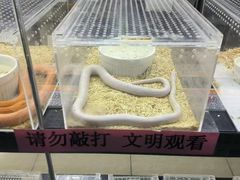 -苏州艺都古玩花鸟市场