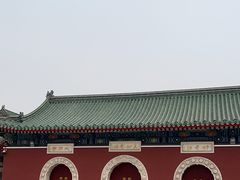 -天津大悲禅院