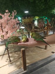 -酷嗒动物文化乐园(cutezoo西溪乐天城店)