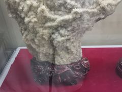 -延庆地质公园博物馆