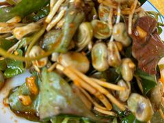 -胖大姐黄辣丁鱼庄(新津店)