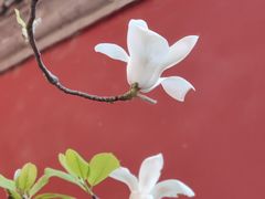 -北京艺术博物馆(万寿寺)