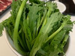-陈记顺和潮汕牛肉火锅(番禺迎宾大道店)