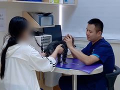 -美联众合动物医院·24h京西诊疗中心