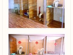 -奶牛家宠物酒店(嘉宏云顶店)