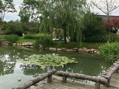 -溧阳天目湖天沐温泉