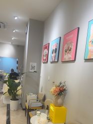 -洗脸猫·洗脸吧