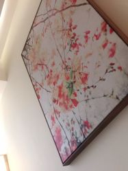 点击看大图 -宥莉·ULLY 痘敏肌•科技皮肤管理中心