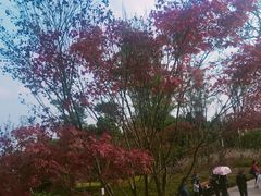 -三岔湖景区