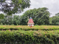 -东莞植物园