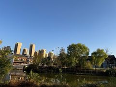 -洋湖国家湿地公园