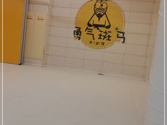 -勇气斑马·巴西柔术&跆拳道(浦东三林店)