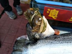 -上海市江桥批发市场经营管理有限公司-停车场