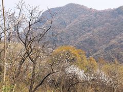 -阳台山自然风景区