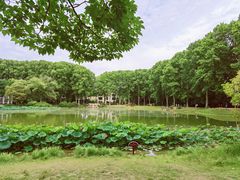 -河南省黄河迎宾馆